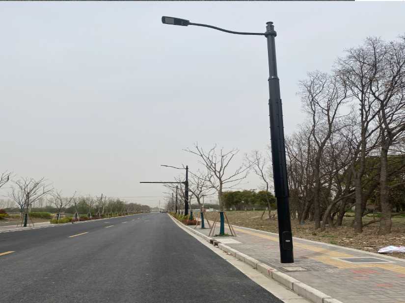 梓潼县上海综合杆 太阳能路灯工程